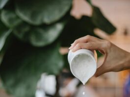 photo of of person pouring milk on matcha latte